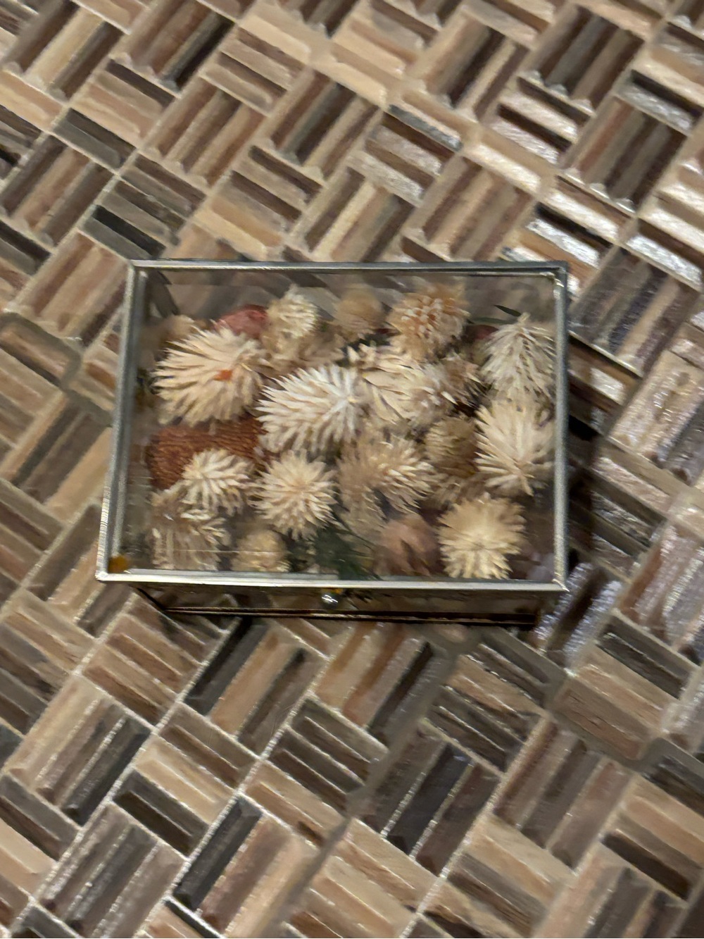 Glass Display Box with Dried Floral Arrangement - Neutral Tones
